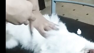 Coco very annoyed due to dropper usage