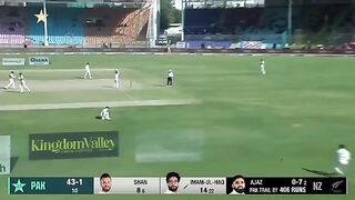 Shan Masood vs Ajaz Patel 4-4-4-W|Pakistan vs New Zealand|2nd Test Day 2 PCB