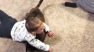 Cute Moment of pets with Babies | Cute kittens doing funny things with Baby |  Funny animal