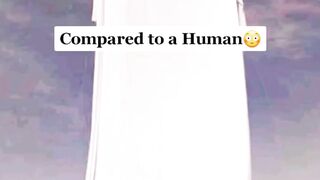 islamic facts #shorts