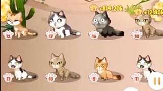 funny cat games