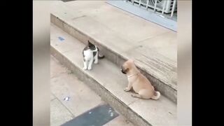 Funny