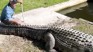 A little slip with a 15 ft saltwater croc__  _GatoramaAdventures(720P_HD)