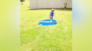 Funny videos