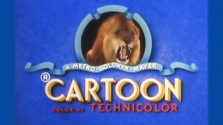 Tom and Jerry Funny