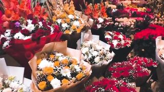 Flowers|best flowers
