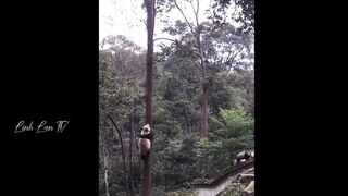A Little Bit Funny Compilation ????