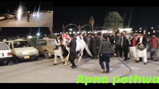 horse dance !!2023