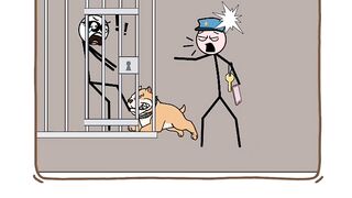 funny cartoon  animal  kids