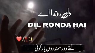 Dil Ronda hai song