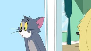 Tom and Jerry Funny