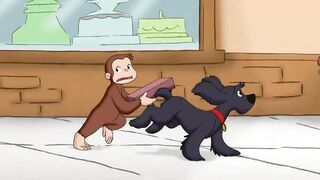 Tom and Jerry New Funny