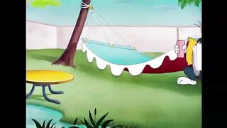 Cartoon Tom and Jerry Funny