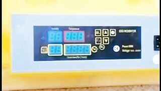 Egg incubator how use in urdu hindi