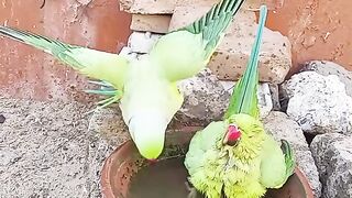 Shower time lovly