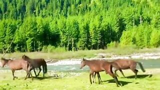 Guess the Beautiful Place #guess #beautiful #beautifulplaces #beauty #pakistan #pakistanvlog #viral