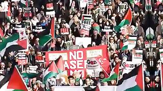 free Palestine  free rafah