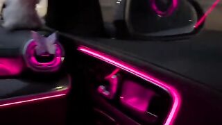 Cars voom