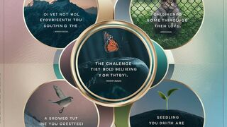 5 Quotes That Will Help You Challenge Your Limiting Beliefs