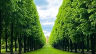 No:16 Beautiful seen of the world/beautyoftheworld075