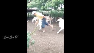 Compilation 8