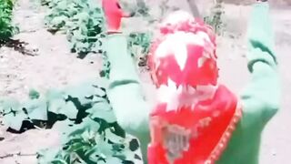 Kreatif hama sawah