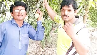 Funny videos Punjabi #viral