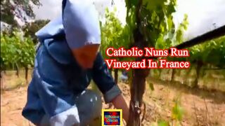 Catholic nuns run vineyard in France