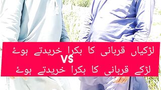 Funny videos Punjabi| qurbani ka bakra