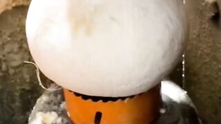 Coconut cutting Video 2