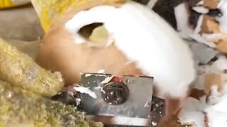 Coconut cutting Video 3