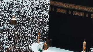 ياابراهيم فديناه