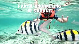 Fakta Snorkeling di Sabang