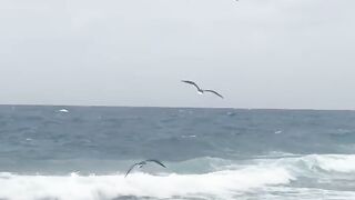 اجمل حلات 24