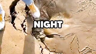 Night with the boys