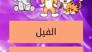 ثقافة عامة- اسءلة واجوبة