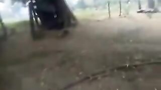 يرتكب الصقر خطا فادحا