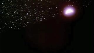2010 (1984)
