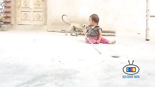 القرد المضحك مع طفل صغير Funny Monkey and Child