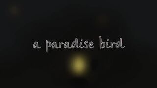 what is your reason to stay_.