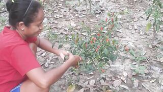 Petani lombok