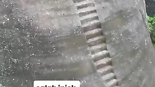 ???????????? 291