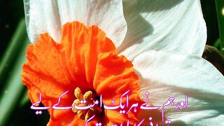 Quran Al Kareem 49