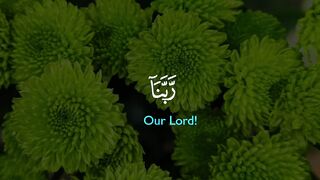 Quran Surah 34
