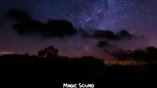 Cynthia Erivo - Stand Up (Lyrics)(360P).