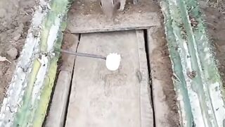 Very smart 2