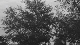 nf - let you down (slowed down).