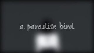 the one that got away (w_ rain) _will make you cry.