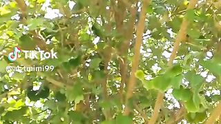 الدعاء 2