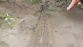 #The_fish_did_not_escape_hahaha